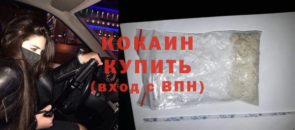 гашик Козельск