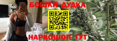 стаф Гусев