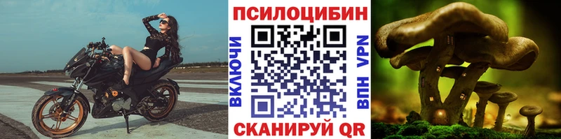 где купить наркотик  Мелеуз  Псилоцибиновые грибы Psilocybe 