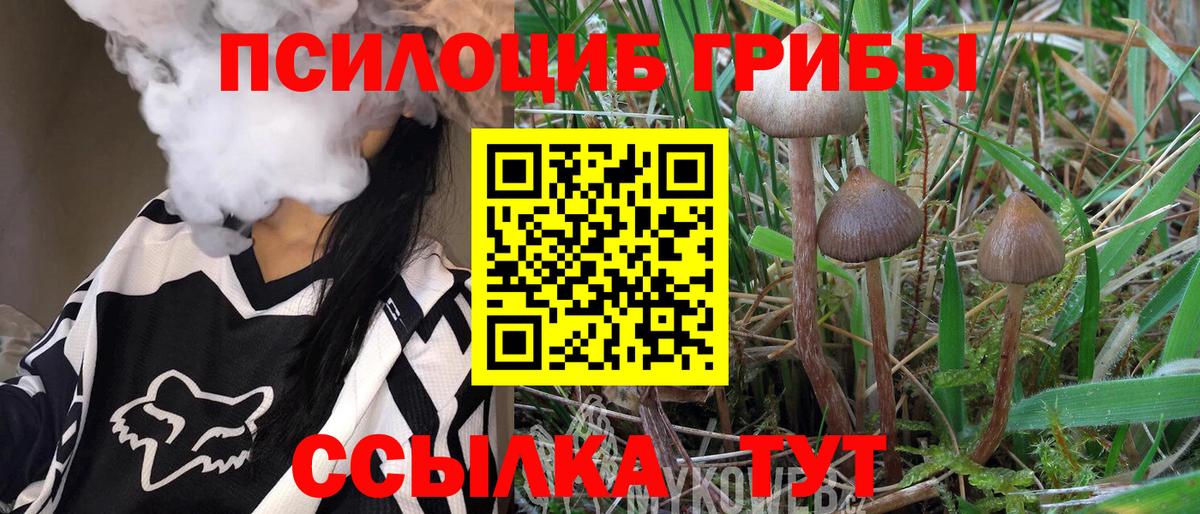Псилоцибиновые грибы MAGIC MUSHROOMS Мелеуз